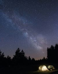 Silhouette trees against star field at night