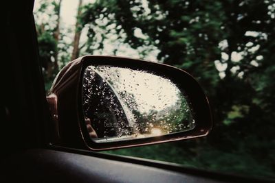 Close-up of raindrops on side-view mirror