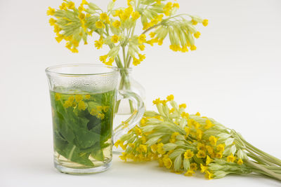 Close-up of drink on table