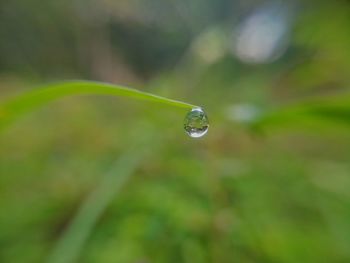 Macro shot of water droplet