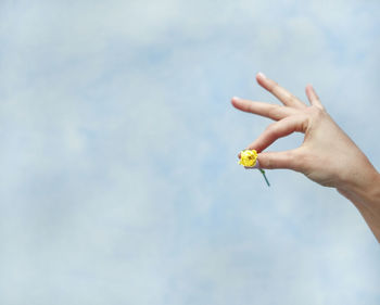 Close-up of hand holding fruit against sky