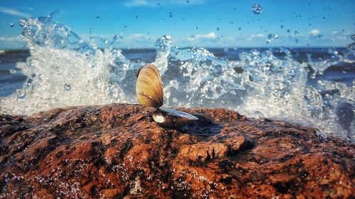 Close-up of sea waves splashing on rocks