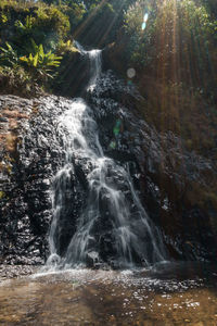 Scenic view of waterfall in forest