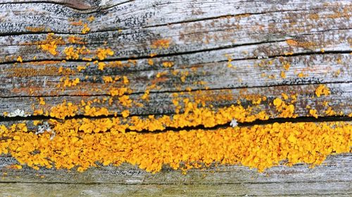 Full frame shot of yellow weathered wall