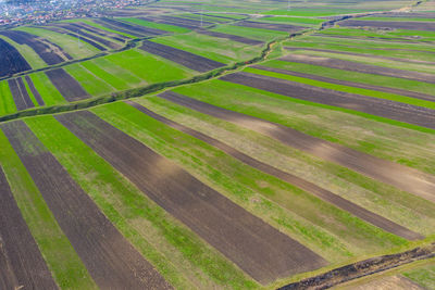 Scenic view of agricultural field