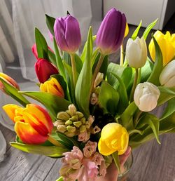 Close-up of multi colored tulips