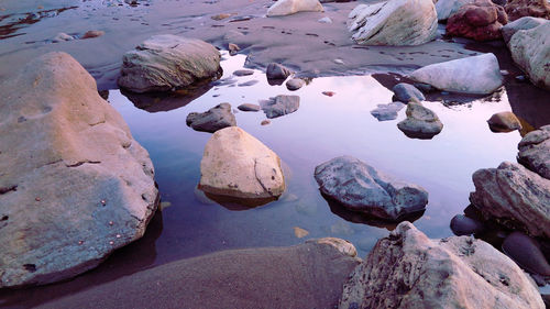 High angle view of rocks on beach