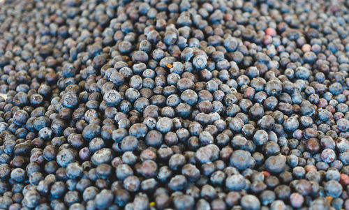 Full frame shot of blueberries