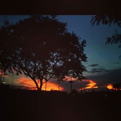 silhouette