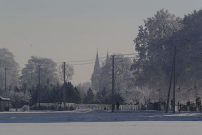 Trees in forest against clear sky during winter