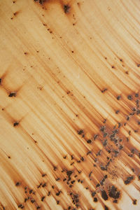 High angle view of hardwood floor