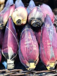 Banana flowers