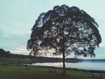 Bench in park by lake against sky