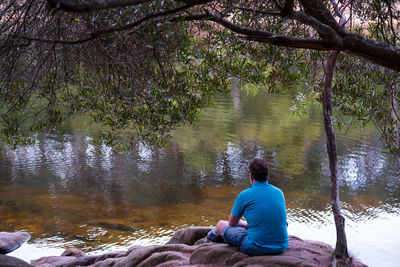 Rear view of man sitting by lake in forest