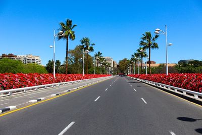 Diminishing perspective of empty road amidst palm trees against clear blue sky