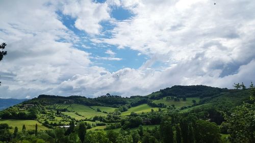 Scenic view of field against sky