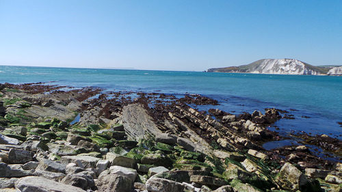 Scenic view of sea against clear sky