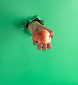 Close-up of person holding red leaf over green background