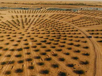 White jeep on a dirt off-road desert in al qudra lakes, dubai, united arab emirates