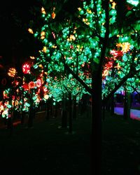 Illuminated trees against sky at night