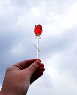 Person holding red umbrella against sky