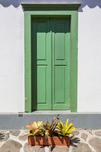 Potted plant against closed door of building