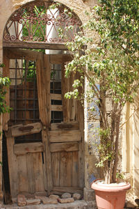 Potted plants outside house