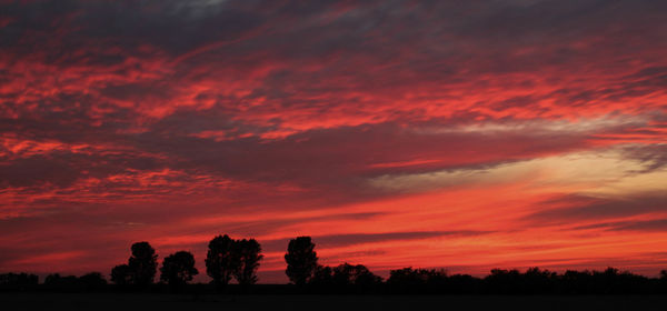 Silhouette of trees at sunset