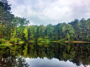 Reflection of trees in lake against sky