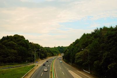 Highway amidst trees against sky
