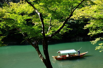 Majestic view of katsura river in arashiyama