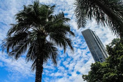 Low angle view of palm trees against blue sky