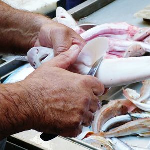 Pescheria, the famous historical fish market of catania