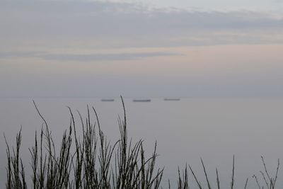 Scenic view of sea against sky at sunset