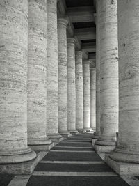 Walkway amidst columns at st peter basilica