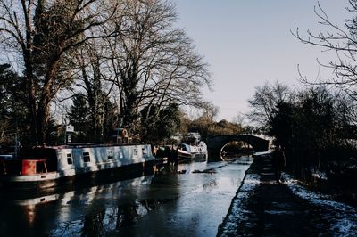 Bare trees by river against sky