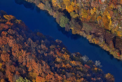 Aerial view of the autumn on the mrežnica river, croatia