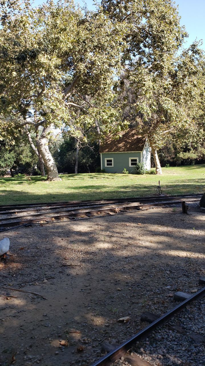 VIEW OF TREES AND BUILDINGS