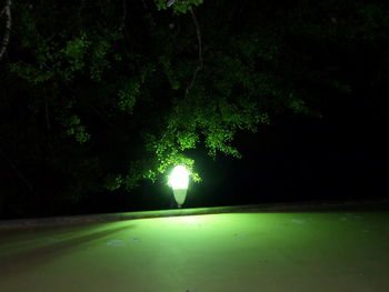 Road along trees at night