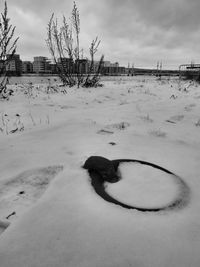 Snow covered landscape