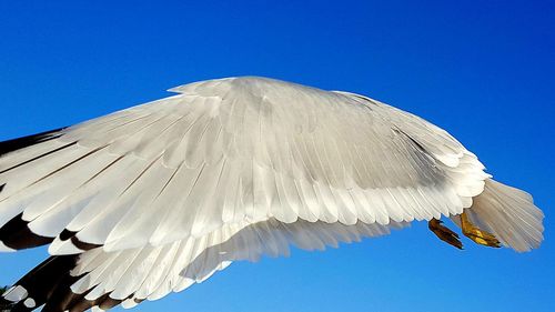 Low angle view of blue sky