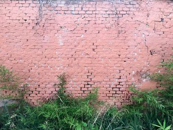 Full frame shot of brick wall