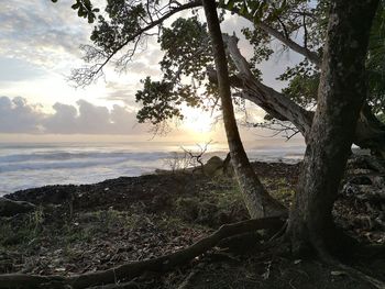 Scenic view of beach against sky during sunset