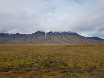 View of landscape against mountain range