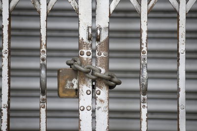 Close-up of padlock on metal gate