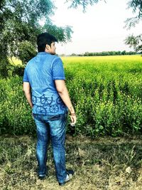 field