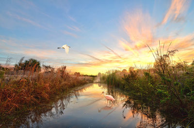 Scenic view of lake against sky during sunset