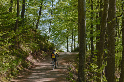 Rear view of people walking on footpath in forest