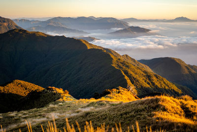 Scenic view of the sea of clouds at the summit of mount pulag national park, benguet, philippines.