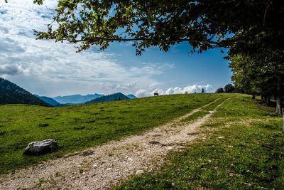 Scenic view of field against sky